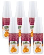 Naturello Portakal Püresi 1000 Gr x 6lı Koli