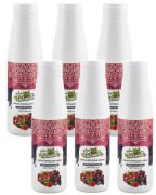 Naturello Orman Meyveleri Püresi 1000 Gr x 6lı Koli