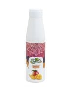 Naturello Mango Püresi 1000 Gr x 6lı Koli