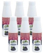 Naturello Karadut Püresi 1000 Gr x 6lı Koli
