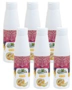 Naturello Kavun Püresi 1000 Gr x 6lı Koli