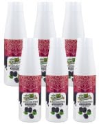 Naturello Böğürtlen Püresi 1000 Gr x 6lı Koli