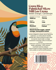 Costa Rica Palmichal Micro Mill Los Urena Yöresel Filtre Kahve 250 Gr.