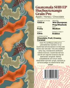 Guatemala SHB EP Huehuetenango Grain Pro Yöresel Filtre Kahve 250 Gr.