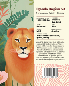 Uganda Bugisu AA Yöresel Filtre Kahve 250 Gr.
